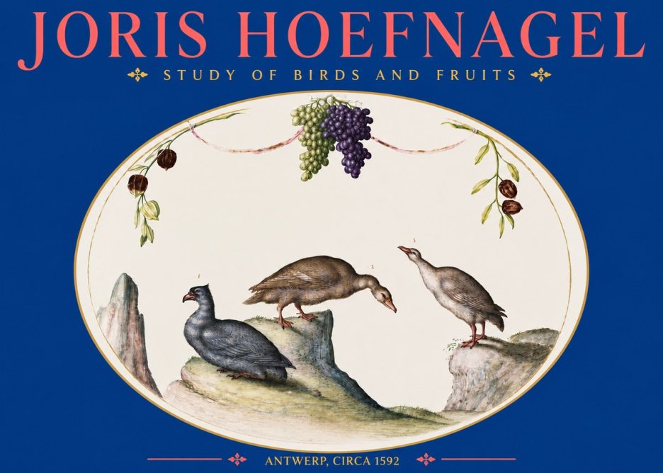 Joris Hoefnagel Three Birds with Grapes and Inscription No5 - Poszter