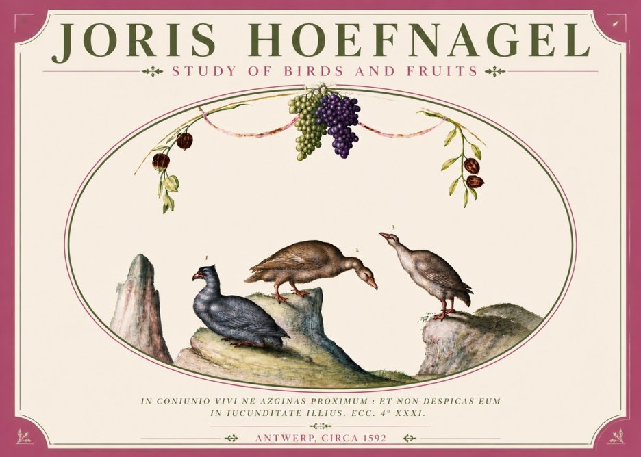 Joris Hoefnagel Three Birds with Grapes and Inscription No6 - Poszter