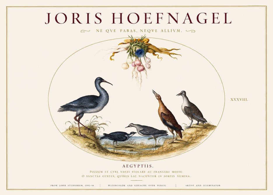 Joris Hoefnagel Aegyptiis. No1 - Poszter