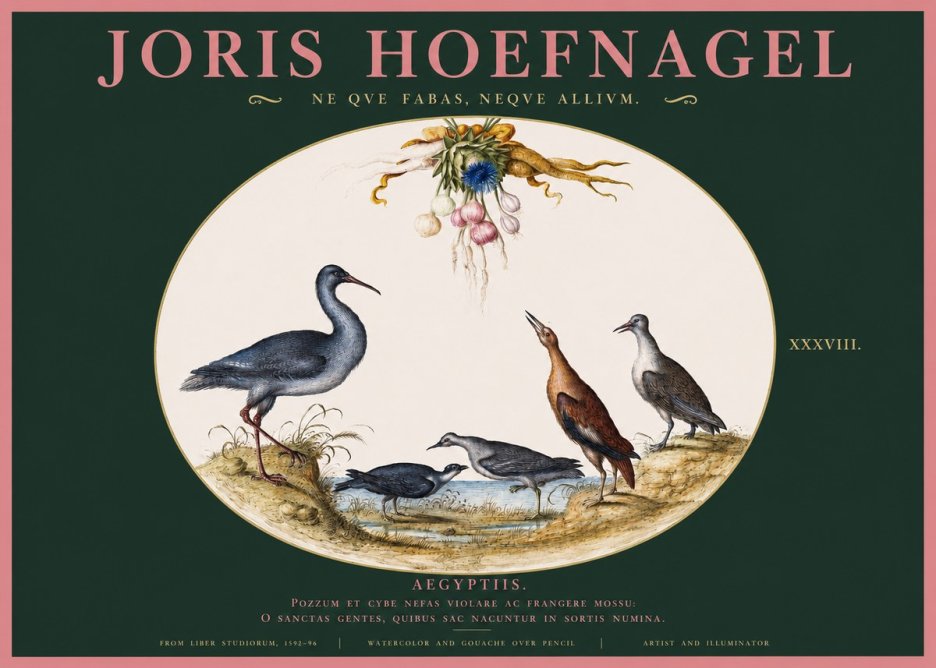 Joris Hoefnagel Aegyptiis. No2 - Poszter