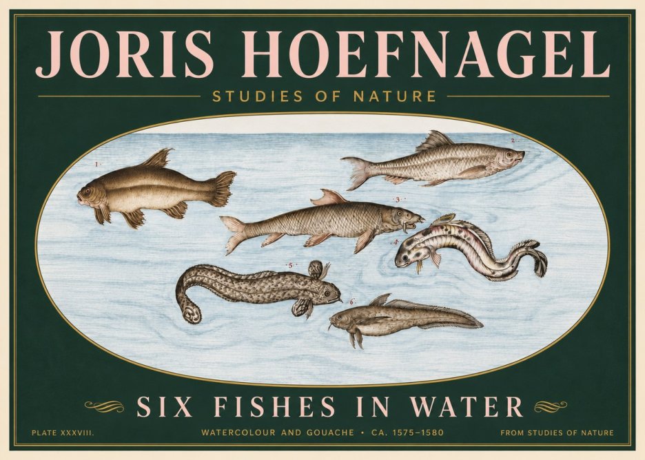 Joris Hoefnagel Six Fishes in Water II No6 - Poszter