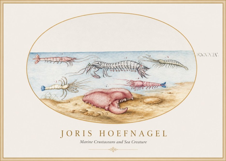 Joris Hoefnagel Marine Crustaceans and Sea Creature No1 - Poszter