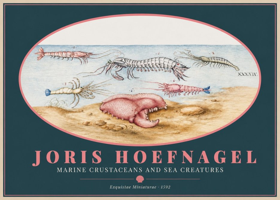 Joris Hoefnagel Marine Crustaceans and Sea Creature No2 - Poszter