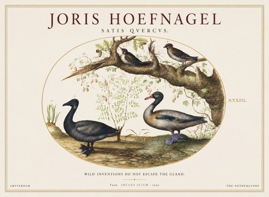 Joris Hoefnagel Satis Quercus. Birds of the Marsh No2 - Poszter