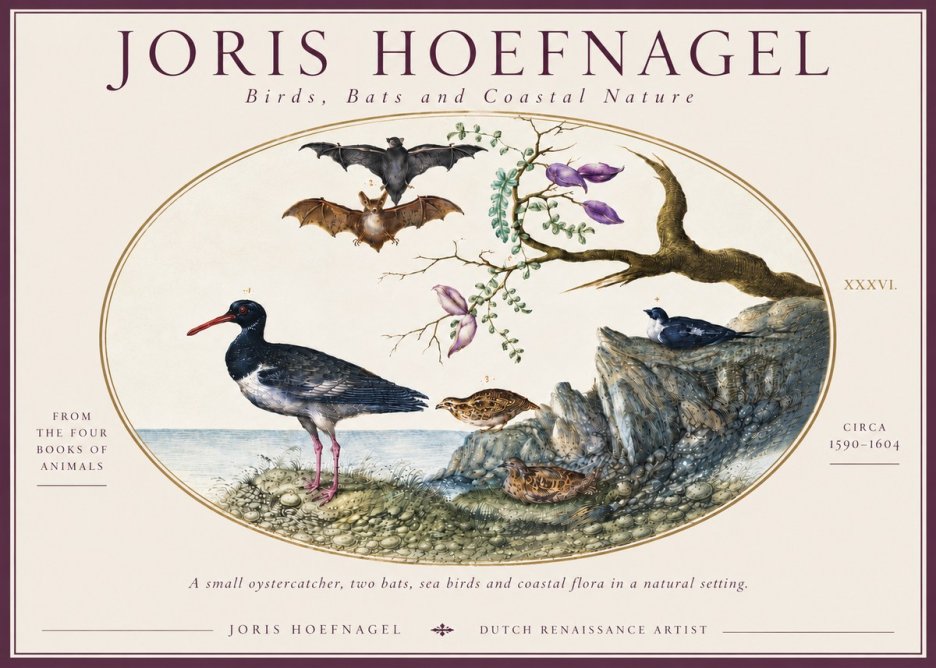 Joris Hoefnagel Birds, Bats and Coastal Nature No6 - Poszter