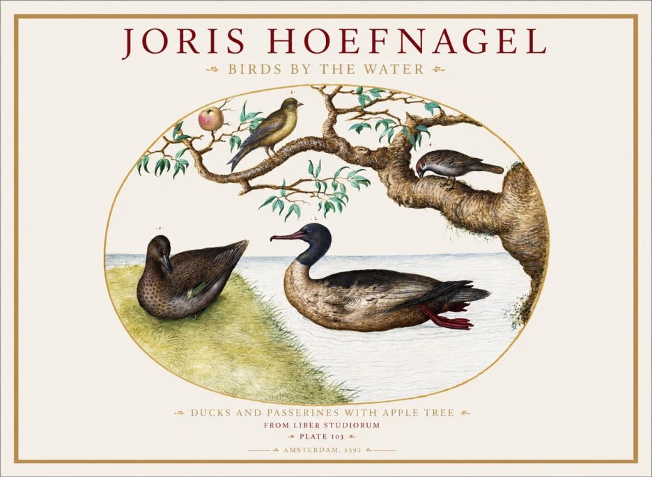Joris Hoefnagel Ducks and Passerines with Apple Tree No1 - Poszter