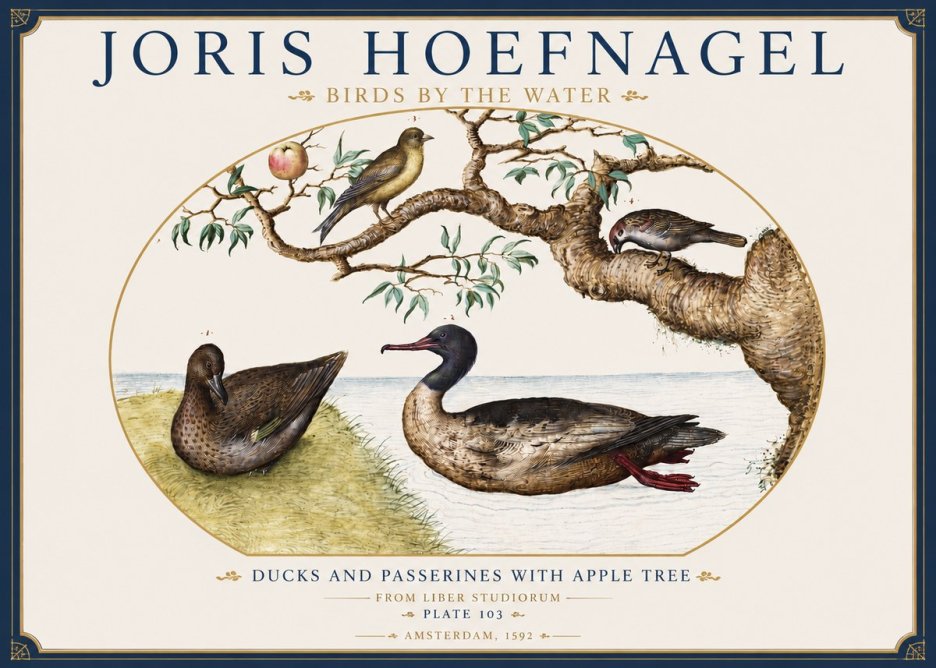 Joris Hoefnagel Ducks and Passerines with Apple Tree No3 - Poszter
