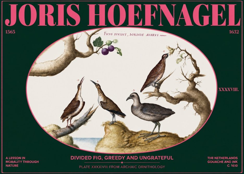Joris Hoefnagel Birds from the Four Parts of the World No3 - Poszter