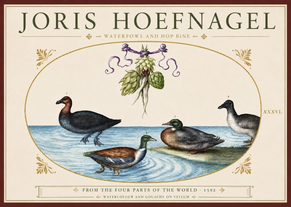 Joris Hoefnagel Waterfowl and Hop Bine No3 - Poszter