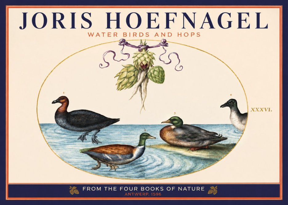 Joris Hoefnagel Waterfowl and Hop Bine No6 - Poszter