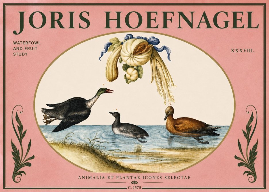 Joris Hoefnagel Waterfowl and Fruit Study No4 - Poszter