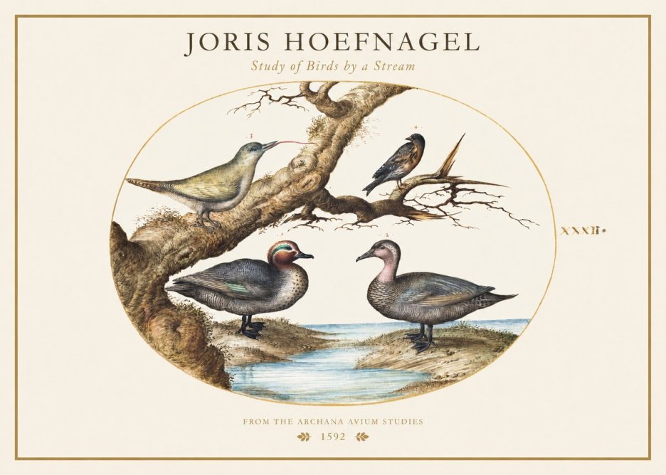 Joris Hoefnagel Study of Birds by a Stream No1 - Poszter