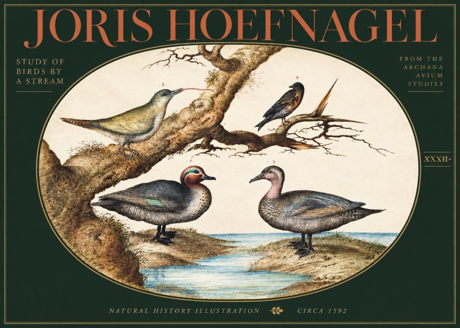 Joris Hoefnagel Study of Birds by a Stream No3 - Poszter
