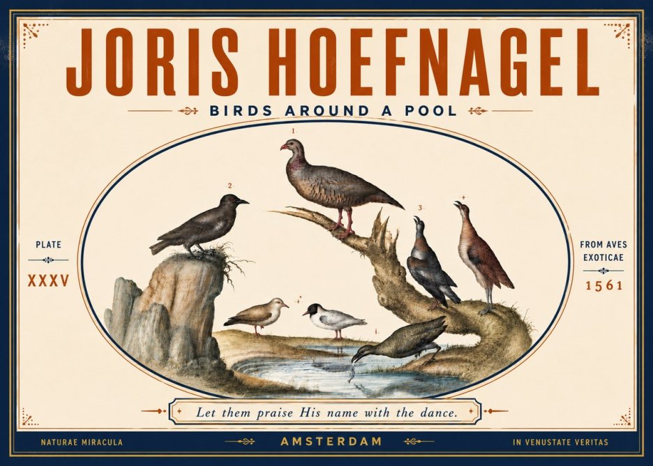 Joris Hoefnagel Birds Around a Pool No5 - Poszter