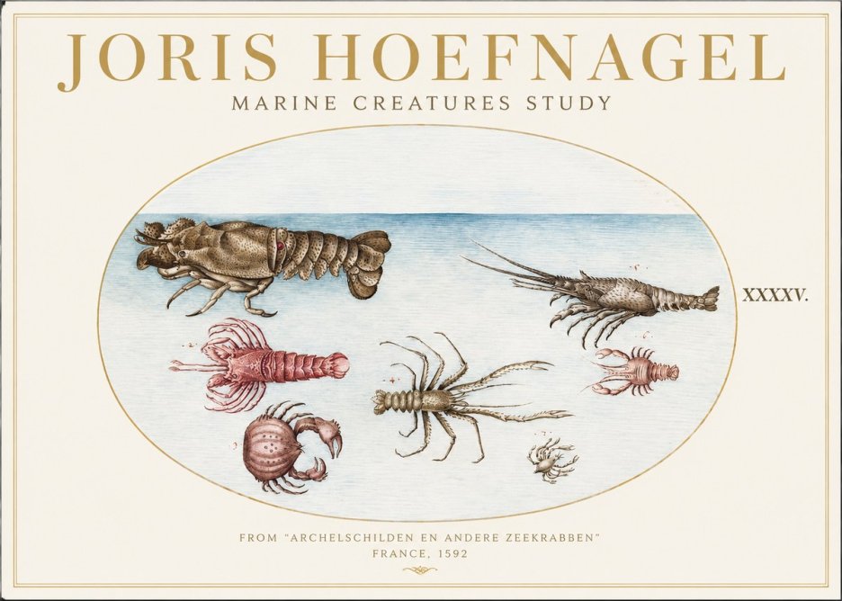 Joris Hoefnagel Studies of Crustaceans No2 - Poszter