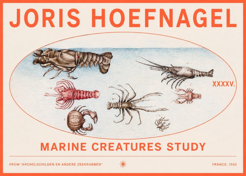 Joris Hoefnagel Studies of Crustaceans No3 - Poszter