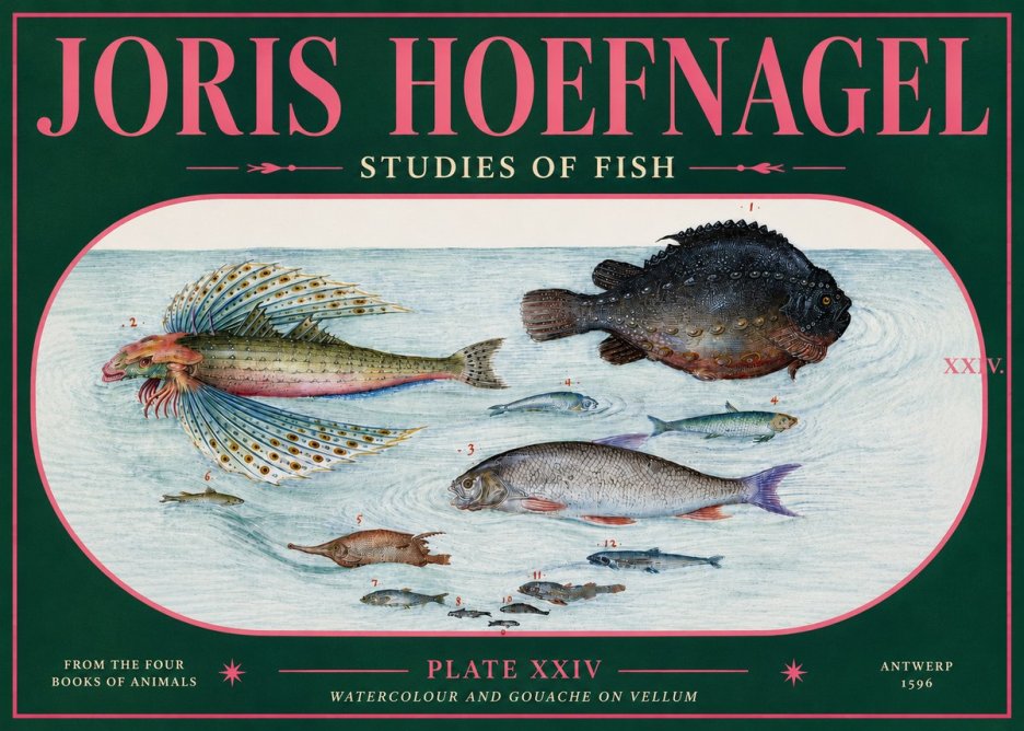 Joris Hoefnagel Studies of Fish II No5 - Poszter