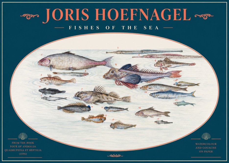 Joris Hoefnagel Fishes of the Sea III No2 - Poszter