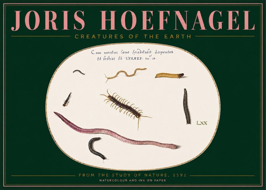 Joris Hoefnagel Creatures of the Earth II No2 - Poszter