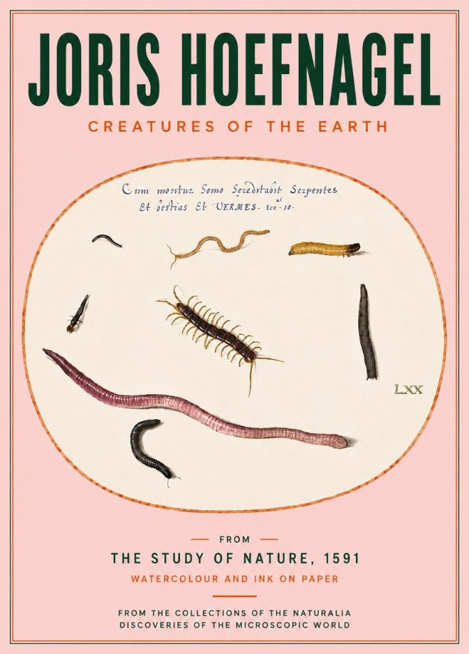 Joris Hoefnagel Creatures of the Earth II No4 - Poszter