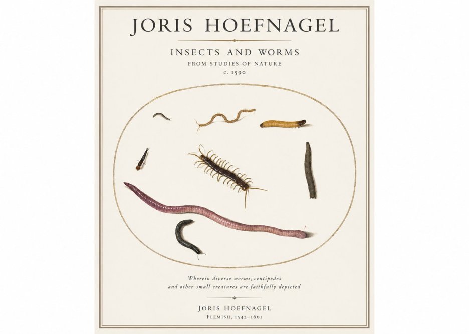 Joris Hoefnagel Creatures of the Earth II No5 - Poszter