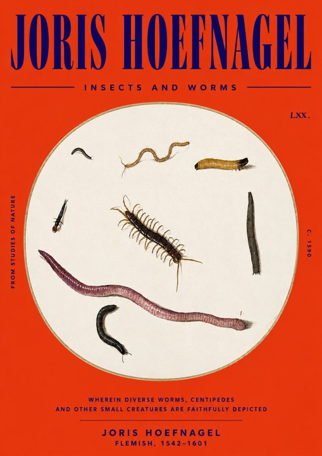 Joris Hoefnagel Creatures of the Earth II No6 - Poszter