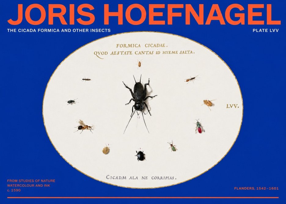 Joris Hoefnagel Formica Cicadae No6 - Poszter