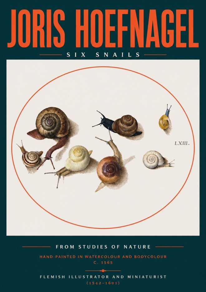 Joris Hoefnagel Six Snails No2 - Poszter