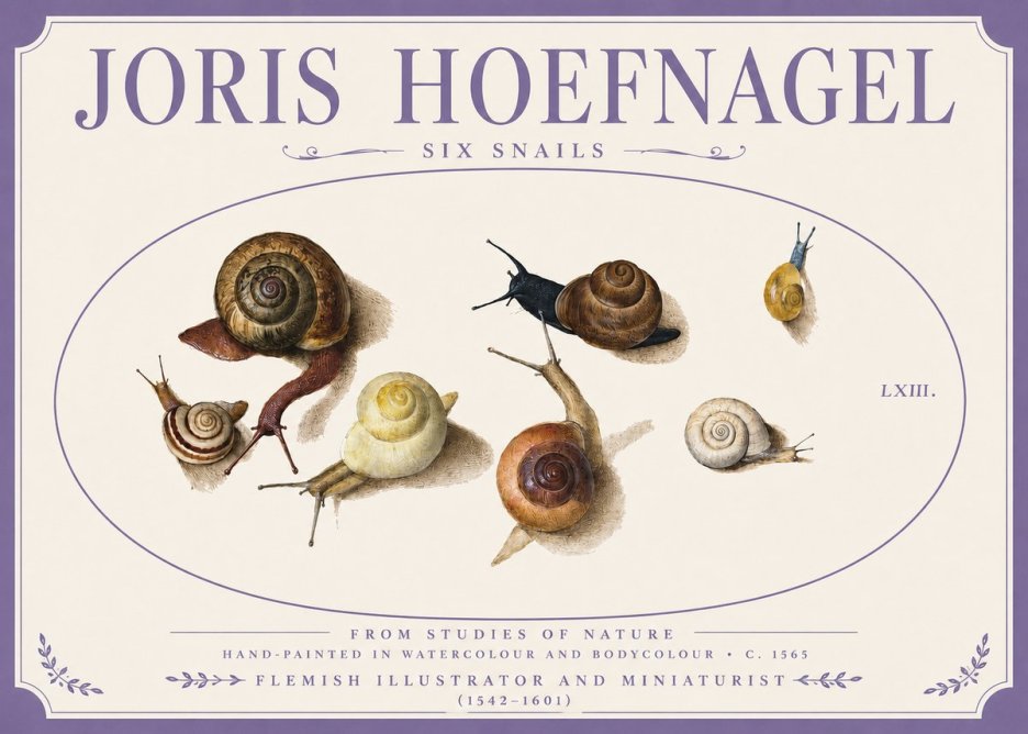 Joris Hoefnagel Six Snails No3 - Poszter
