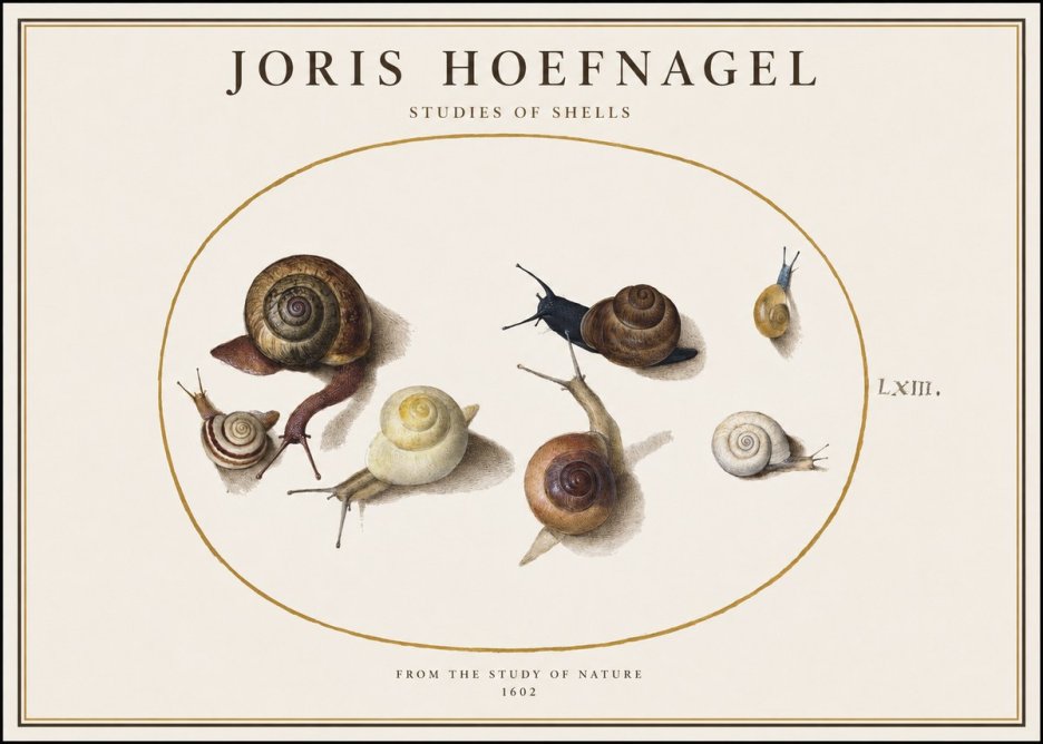 Joris Hoefnagel Six Snails No4 - Poszter