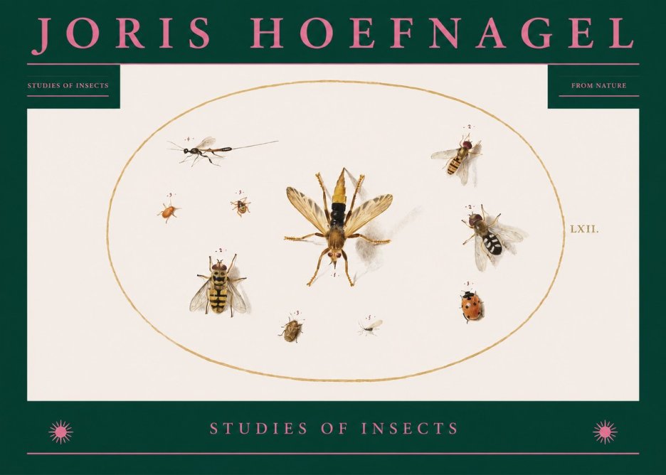 Joris Hoefnagel Studies of Insects IV No2 - Poszter