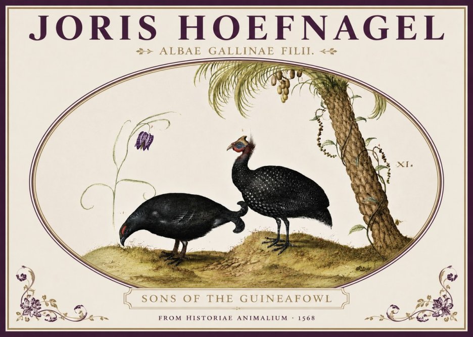 Joris Hoefnagel Albae Gallinae Filii. No4 - Poszter