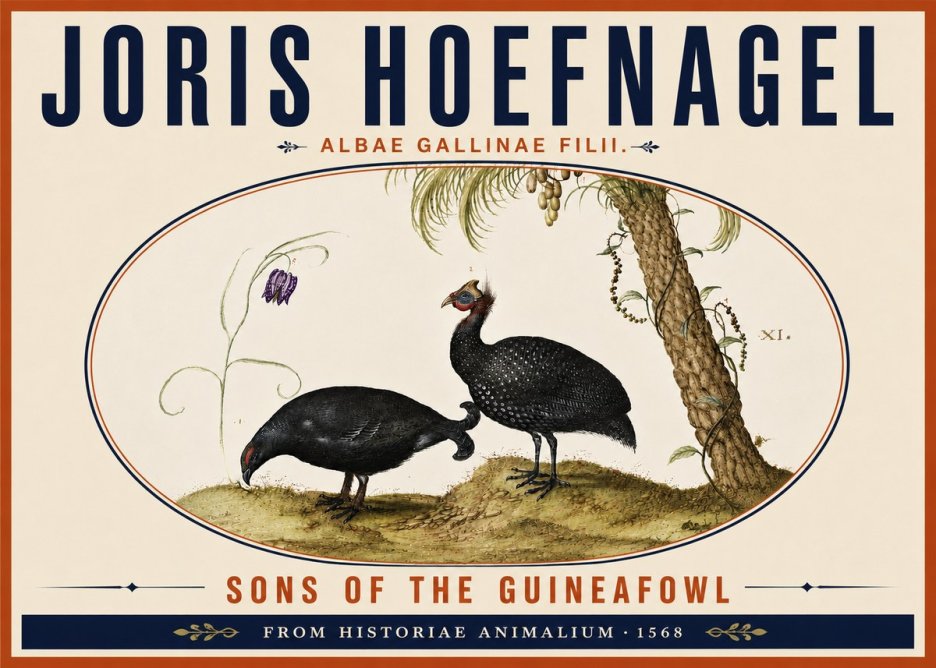 Joris Hoefnagel Albae Gallinae Filii. No6 - Poszter