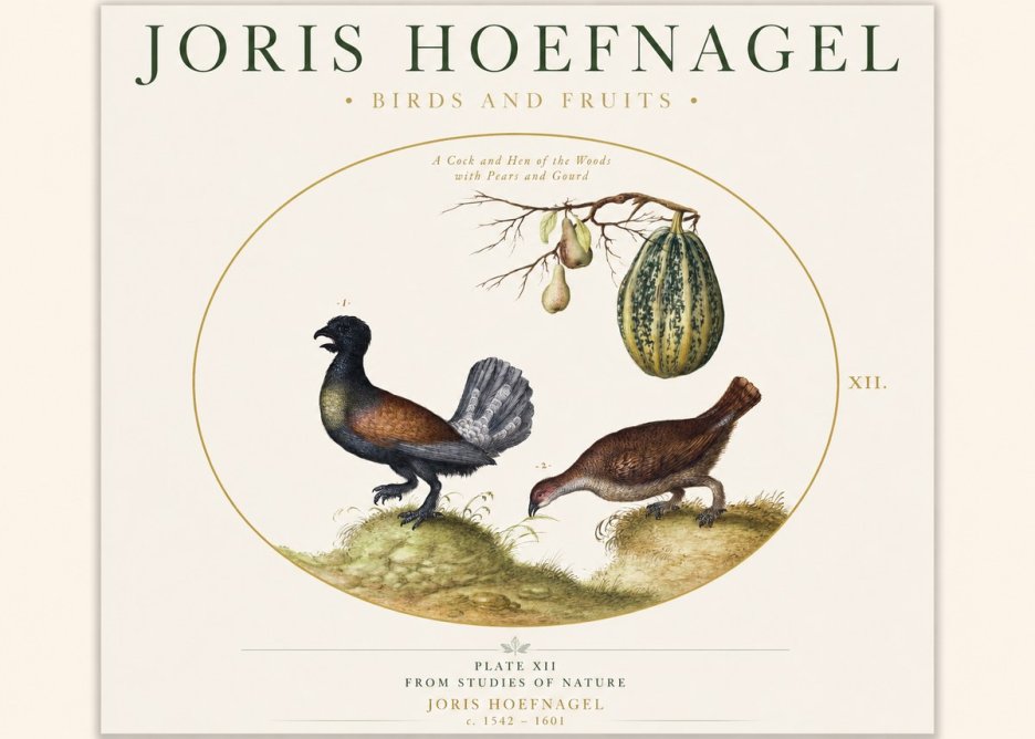 Joris Hoefnagel A Cock and Hen of the Woods with Pears and Gourd No1 - Poszter