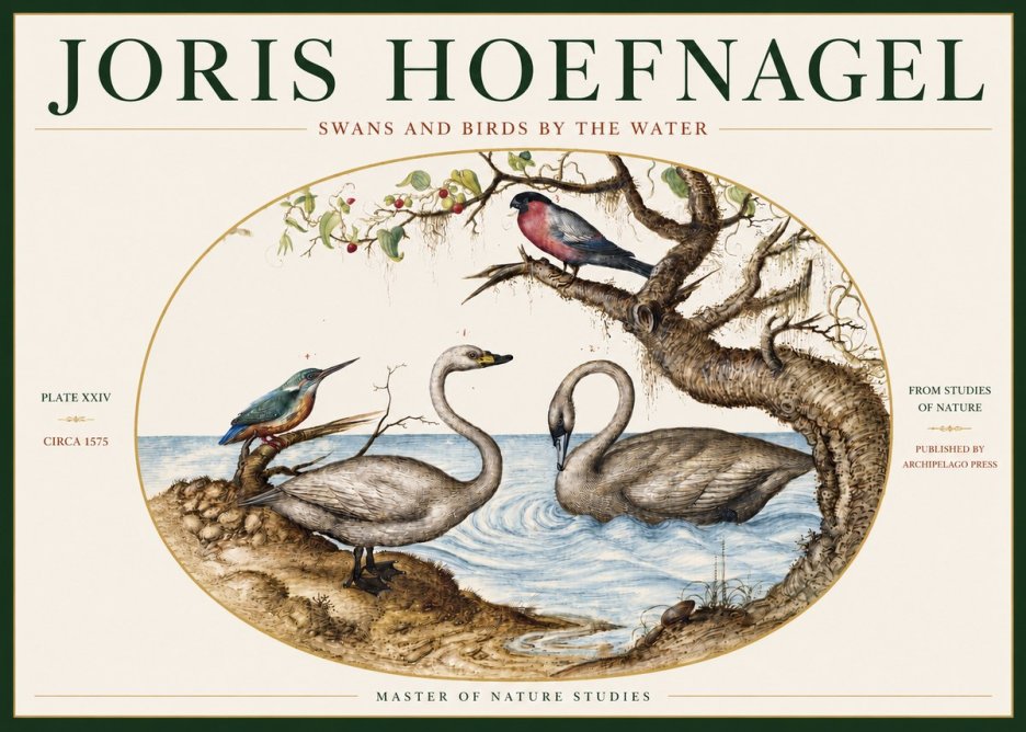 Joris Hoefnagel Swans and Birds by the Water No3 - Poszter