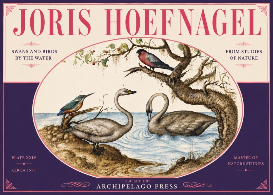 Joris Hoefnagel Swans and Birds by the Water No6 - Poszter