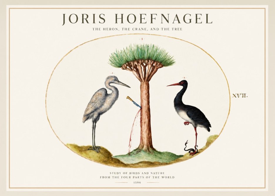 Joris Hoefnagel The Heron, the Crane, and the Tree No1 - Poszter