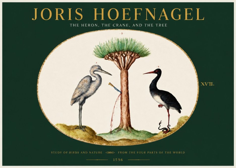 Joris Hoefnagel The Heron, the Crane, and the Tree No2 - Poszter