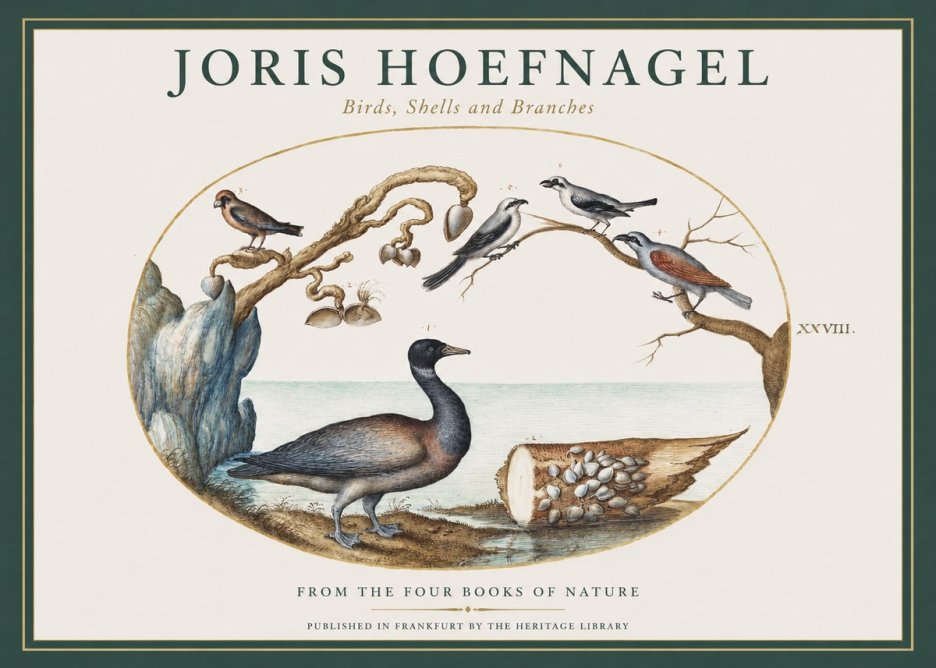 Joris Hoefnagel Birds, Shells and Branches No1 - Poszter