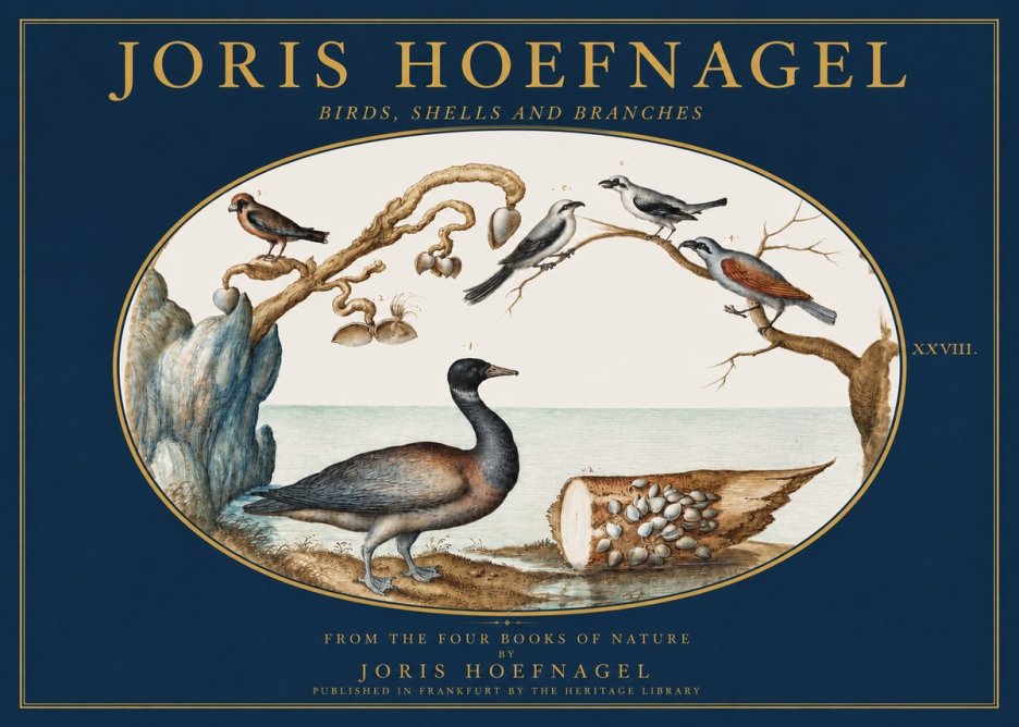 Joris Hoefnagel Birds, Shells and Branches No2 - Poszter