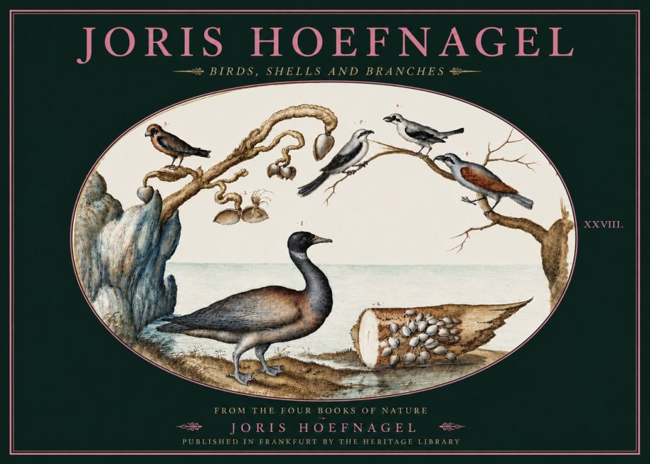 Joris Hoefnagel Birds, Shells and Branches No4 - Poszter
