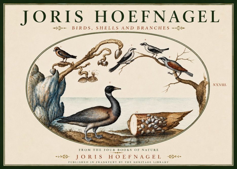Joris Hoefnagel Birds, Shells and Branches No6 - Poszter