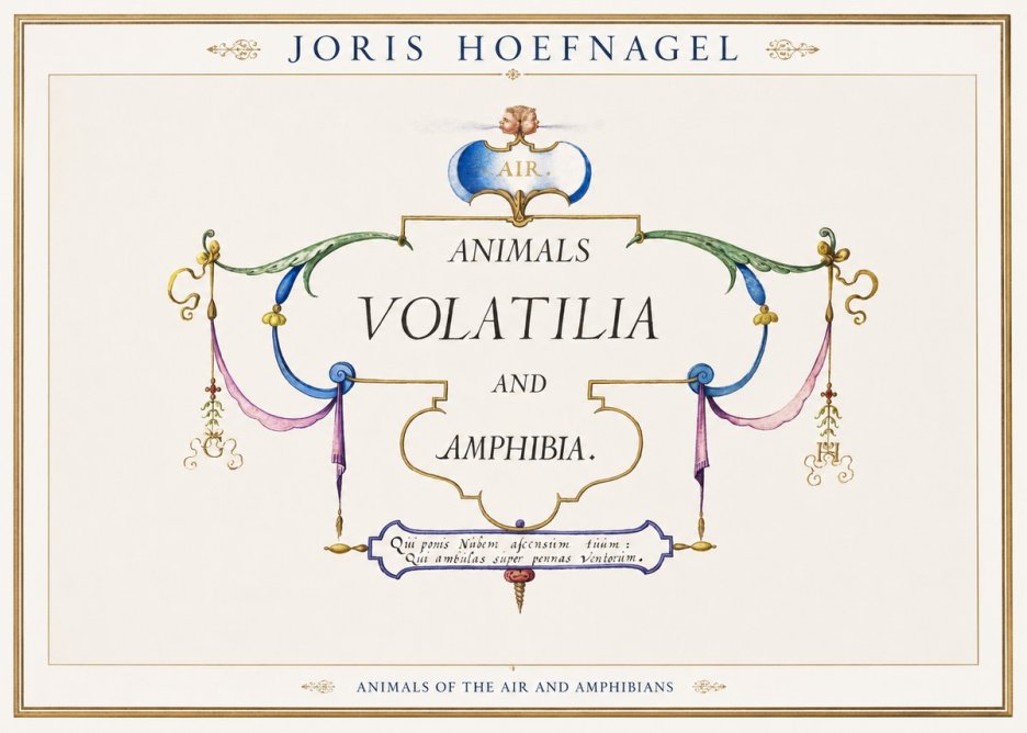 Joris Hoefnagel Animals Volatilia and Amphibia. No1 - Poszter