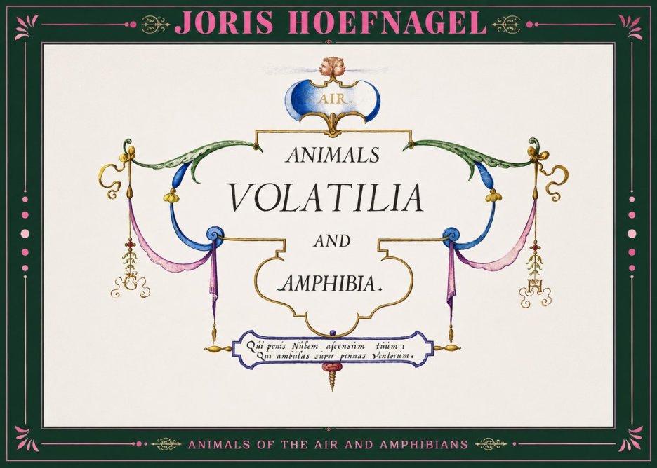 Joris Hoefnagel Animals Volatilia and Amphibia. No2 - Poszter