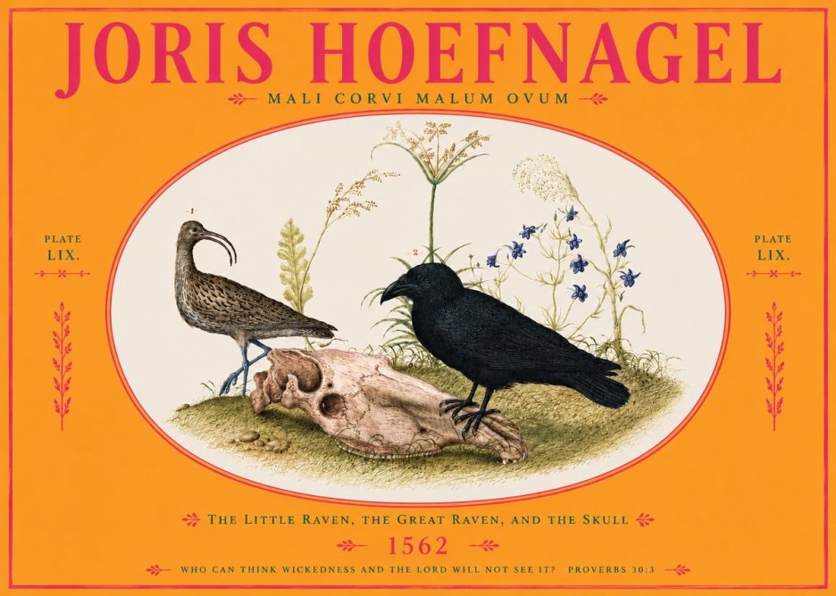 Joris Hoefnagel The Little Raven, the Great Raven, and the Skull No4 - Poszter