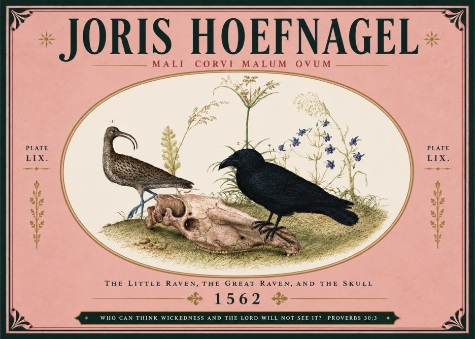 Joris Hoefnagel The Little Raven, the Great Raven, and the Skull No5 - Poszter