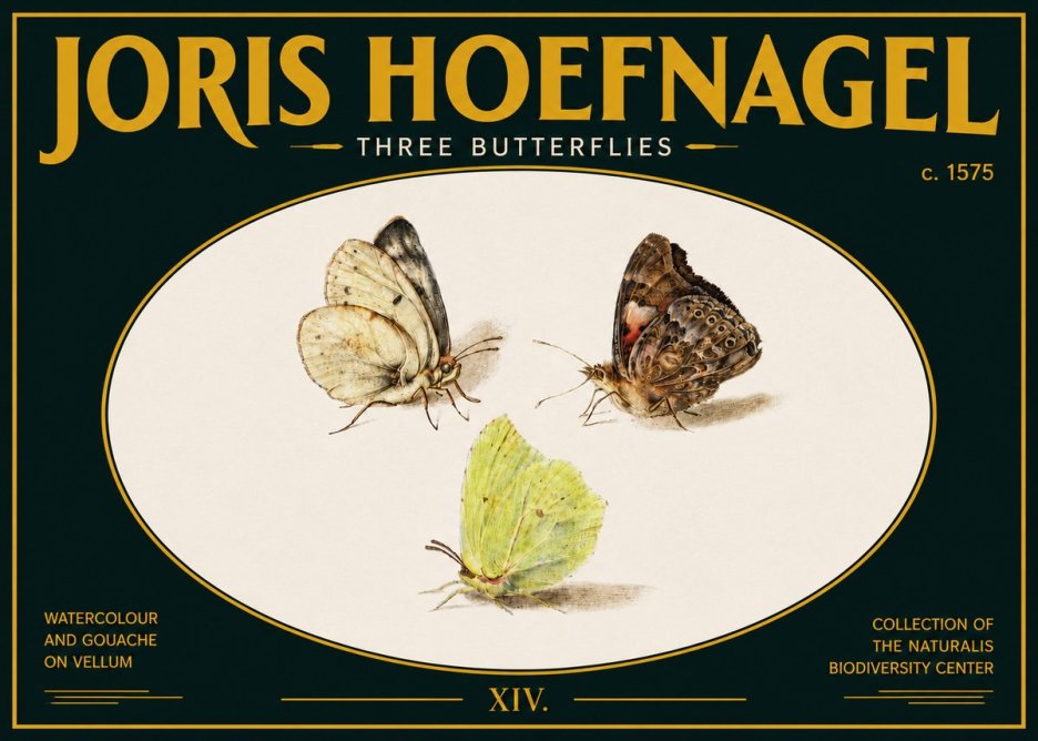 Joris Hoefnagel Three Butterflies II No5 - Poszter