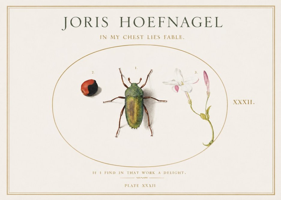 Joris Hoefnagel In My Chest Lies Fable No1 - Poszter