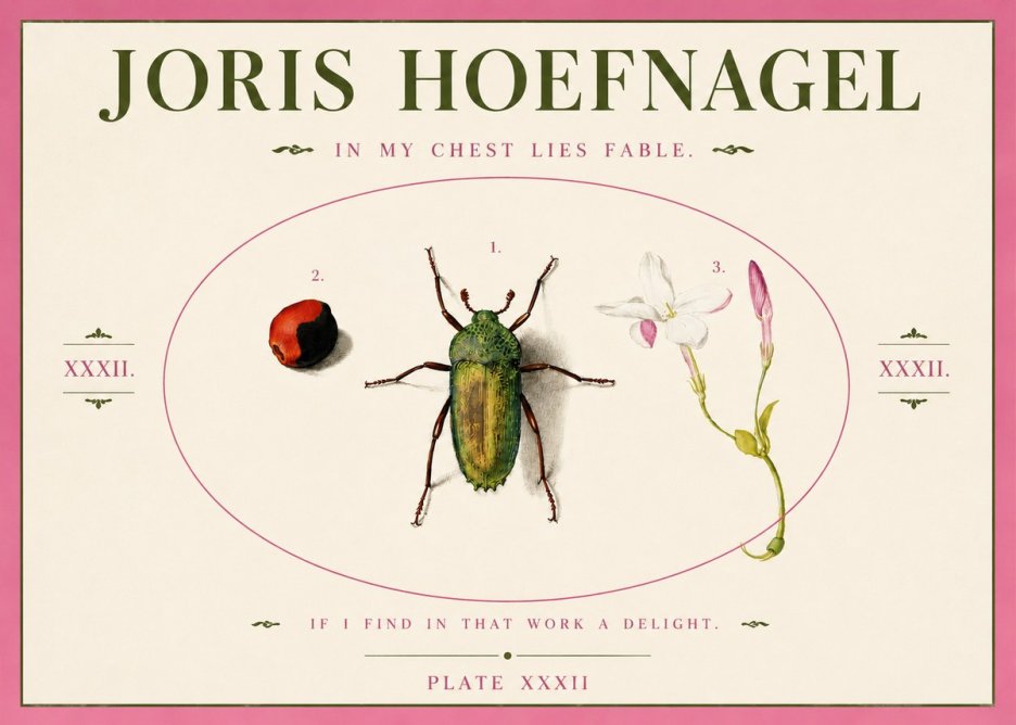 Joris Hoefnagel In My Chest Lies Fable No3 - Poszter