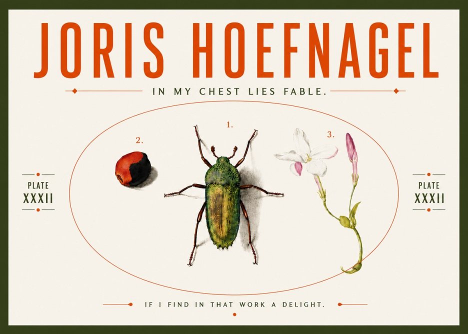 Joris Hoefnagel In My Chest Lies Fable No5 - Poszter